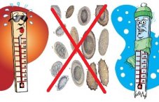 Как умирают глисты: при какой температуре погибают яйца гельминтов