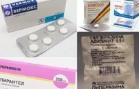 Лекарство от глистов и паразитов для человека: цены и отзывы о препаратах