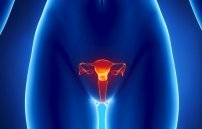 Паразиты во влагалище: аскариды, вагинальные глисты у девочек