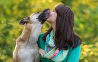Можно ли заразиться глистами от собаки человеку?