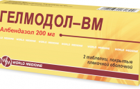 Гелмодол ВМ: цена, отзывы и инструкция по применению противогельминтного препарата