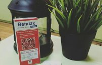 Bendax от глистов: отзывы, цена препарата и показание к применению