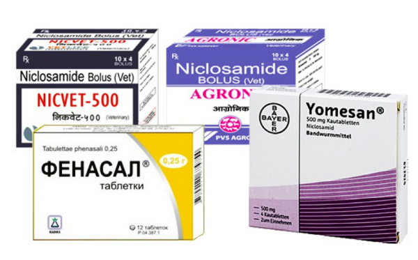 Никлозамид Niclosamide - инструкция по применению, описание, фармакологическое действие, показания к применению, дозировка и способ применения, противопоказания, побочные действия