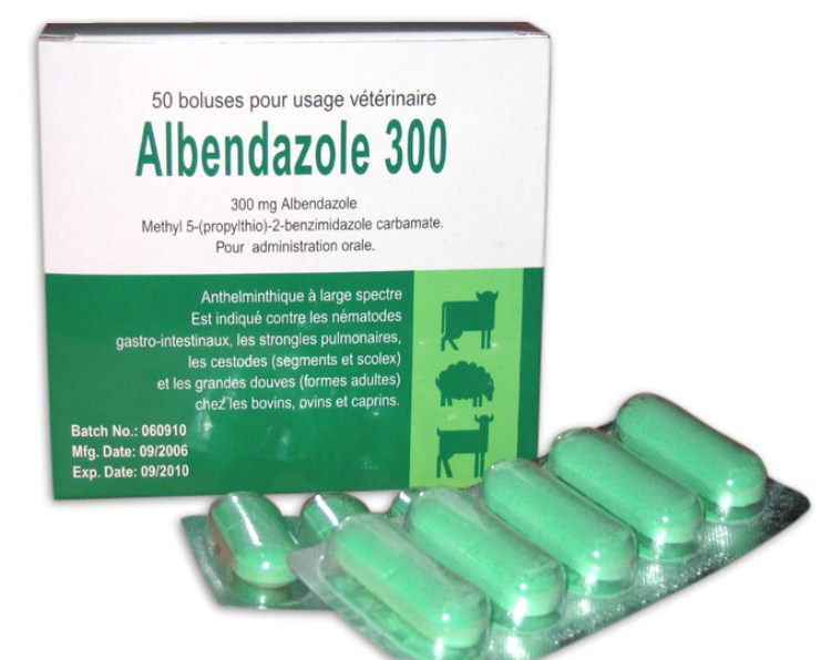Препарат Альбендазол отзывы. Альбендазол для животных применение, дозировка