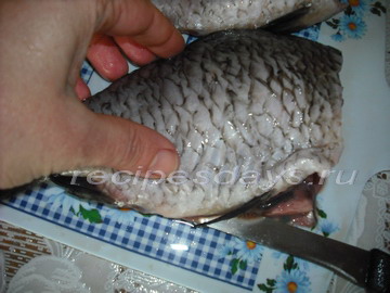 В какой рыбе описторхоз, есть ли в морской, речной, вяленой, как готовить