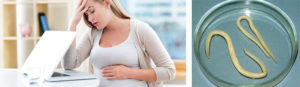 Аскариды во время беременности, лечение аскаридоза у беременных
